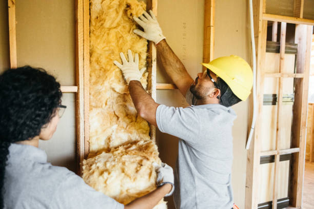 Types of Insulation We Offer in Rector, AR